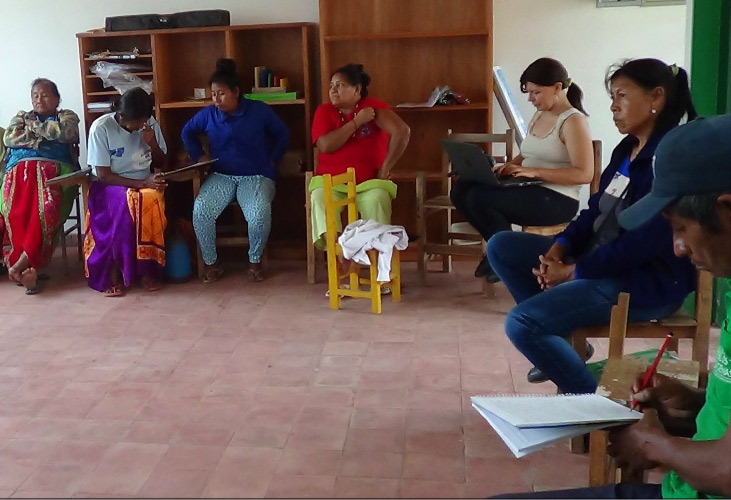 Taller de Liderezas indigenas