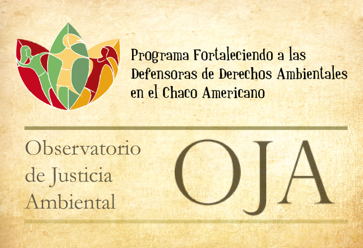3 boletin oja