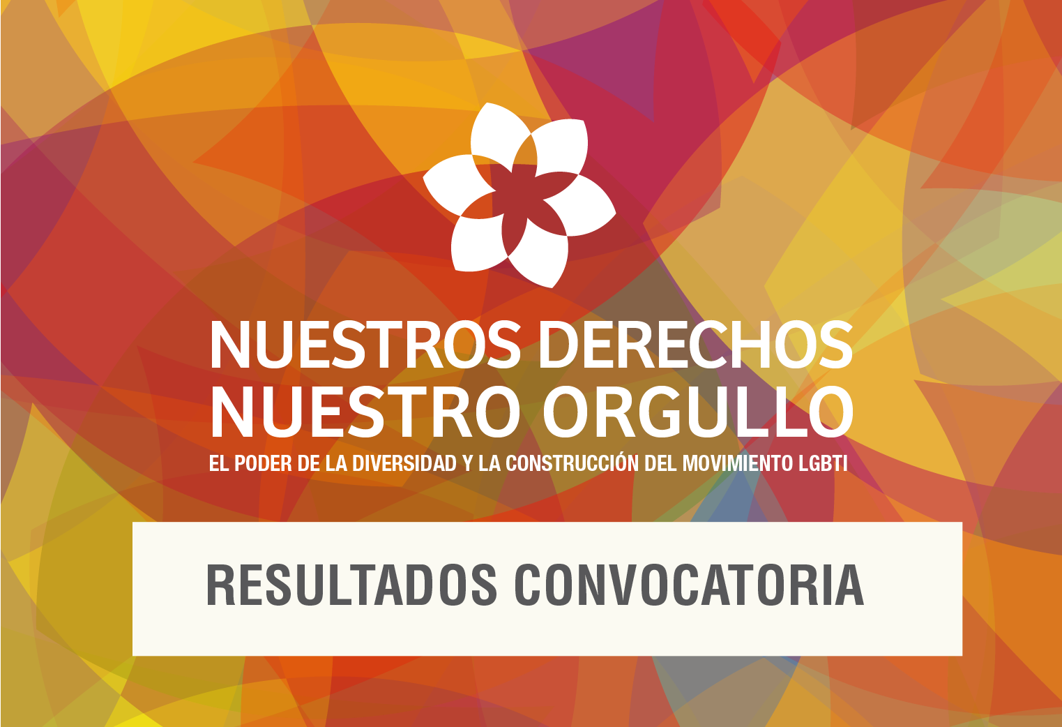 Resultado convocatoria a organizaciones para participar del programa de diversidad del Fondo de Mujeres del Sur
